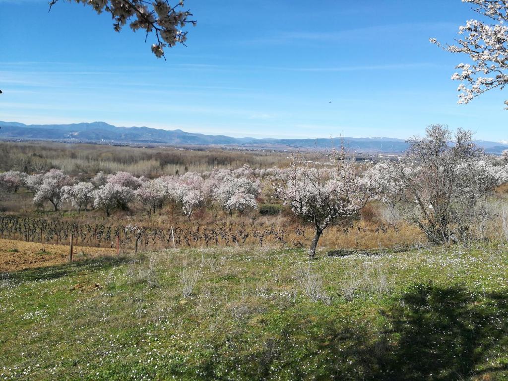 Vista del Pajariel